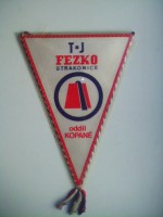 /album/strakonice/strakonice-tj-fezko-22-jpg/